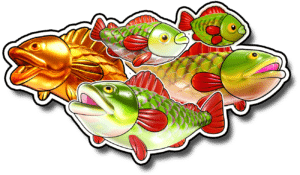 fish cluster