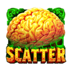 zoci scatter